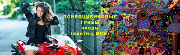 спайс Алзамай
