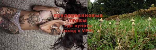 твердый Алексин