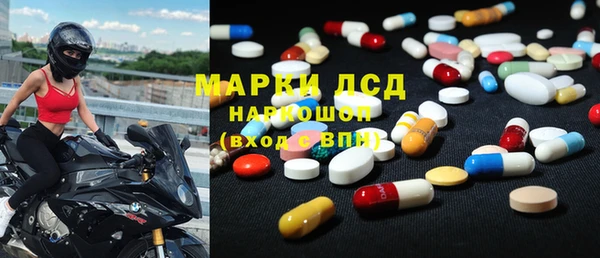 спайс Алзамай