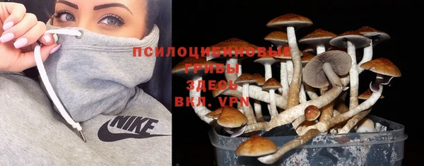 спайс Алзамай
