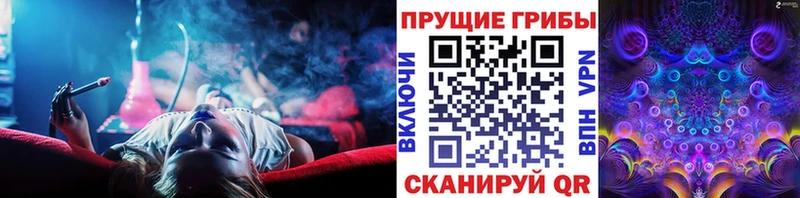 Галлюциногенные грибы мухоморы закладка Протвино